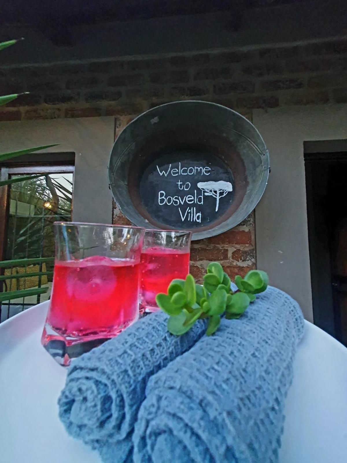 Bosveld Villa Marloth Park Zewnętrze zdjęcie