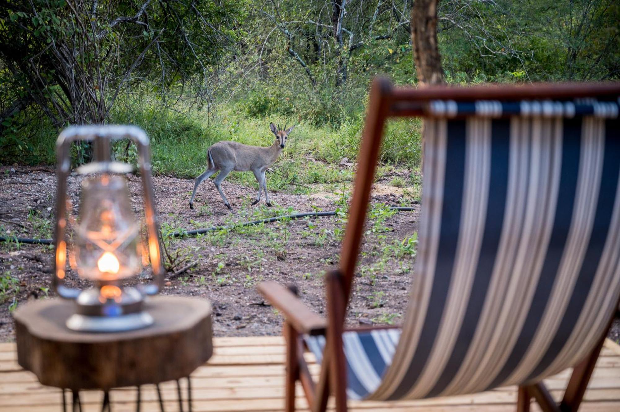 Bosveld Villa Marloth Park Zewnętrze zdjęcie